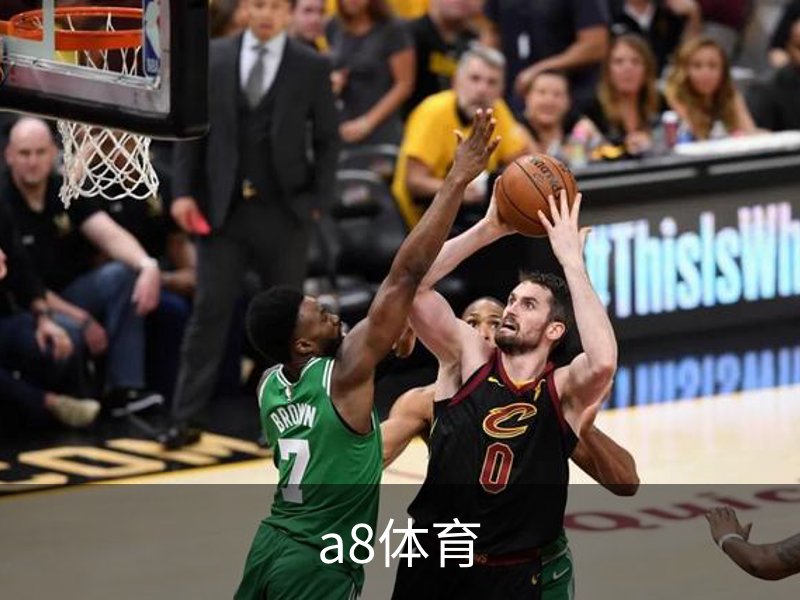 了解a8体育